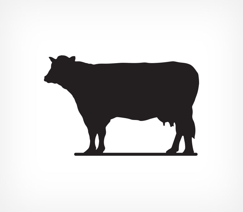 Меловая табличка "Корова" BB COW